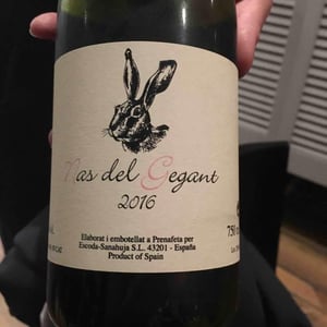 Nas del Gegant 2016