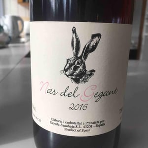 Nas del Gegant 2016