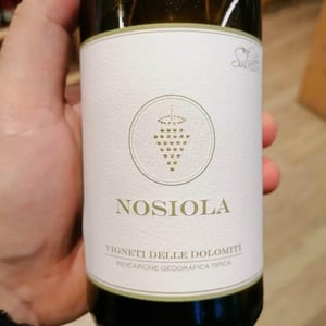 Nosiola - Salvetta azienda agricola - Giancarlo Salvetta 