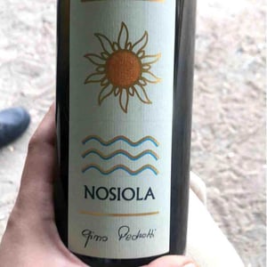 Nosiola 2017
