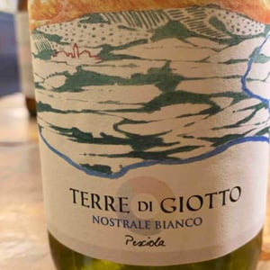Nostrale Bianco - Terre di Giotto - Michele Lorenzetti 