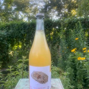 (not so ) Crazy Crazy (disgorged) - Marto Wines - Weingut Wörner - Martin Wörner 
