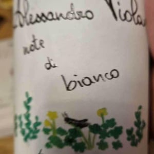 Azienda Agricola Alessandro Viola - Alessandro Viola - Note Di Bianco