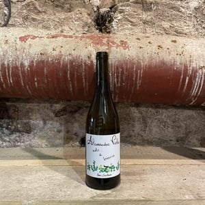 Note Di Bianco - Azienda Agricola Alessandro Viola - alessandro-viola