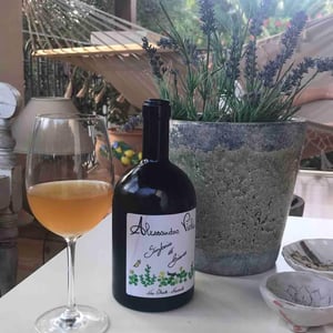 Note di Grillo - Azienda Agricola Alessandro Viola - Alessandro Viola 