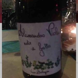 Azienda Agricola Alessandro Viola - Alessandro Viola - Note di Grillo