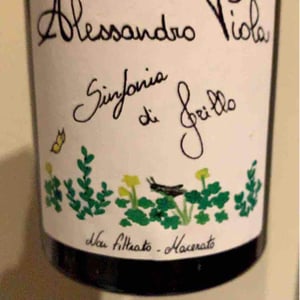 Note di Grillo - Azienda Agricola Alessandro Viola - alessandro-viola