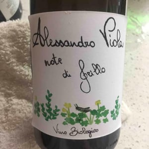 Azienda Agricola Alessandro Viola - Alessandro Viola - Note di Grillo