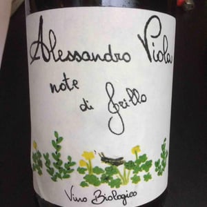 Note di Grillo - Azienda Agricola Alessandro Viola - Alessandro Viola 
