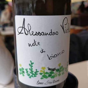 Azienda Agricola Alessandro Viola - Alessandro Viola - Note di Grillo