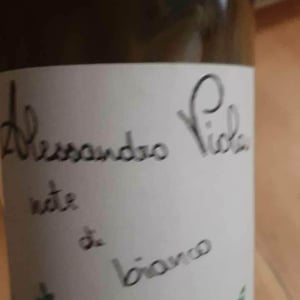 Azienda Agricola Alessandro Viola - Alessandro Viola - Note di Grillo