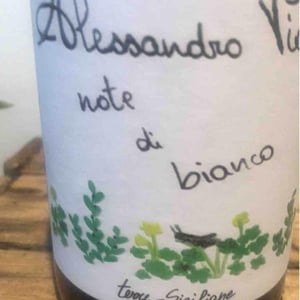 Note di Grillo - Azienda Agricola Alessandro Viola - Alessandro Viola 