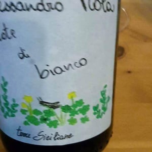 Azienda Agricola Alessandro Viola - Alessandro Viola - Note di Grillo
