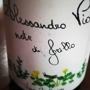 Azienda Agricola Alessandro Viola - Alessandro Viola - Note di Grillo