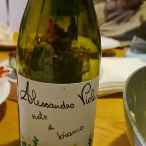 Azienda Agricola Alessandro Viola - Alessandro Viola - Note di Grillo