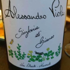 Azienda Agricola Alessandro Viola - Alessandro Viola - Note di Grillo