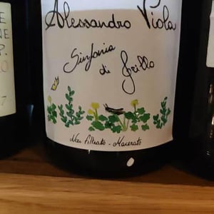 Note di Grillo - Azienda Agricola Alessandro Viola - alessandro-viola