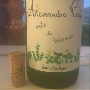 Note di Grillo - Azienda Agricola Alessandro Viola - alessandro-viola