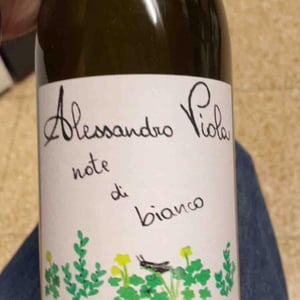 Note di Grillo - Azienda Agricola Alessandro Viola - Alessandro Viola 