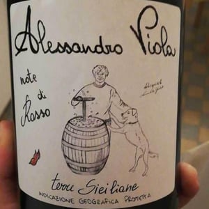 Azienda Agricola Alessandro Viola - Alessandro Viola - Note di Rosso