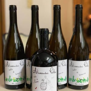 Note di Rosso - Azienda Agricola Alessandro Viola - alessandro-viola