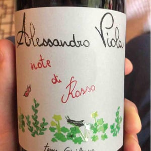 Azienda Agricola Alessandro Viola - Alessandro Viola - Note di Rosso