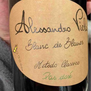 Azienda Agricola Alessandro Viola - Alessandro Viola - Note di Rosso