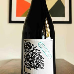 {NOUVEAU} Pinot Noir - Grandbois Weine - tanja-philippe-grandbois -22