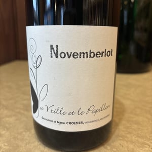 Novemberlot - La Vrille Et Le Papillon - Géraldine & Méryl Croizier -2021