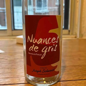 Nuances De Gris - Domaine Joseph Scharsch - nicolas-scharsch -2018