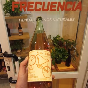 Nucleo X Orange 2022