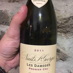 Nuit Saint Georges Les Damodes - Domaine Henri Naudin-Ferrand - claire-naudin