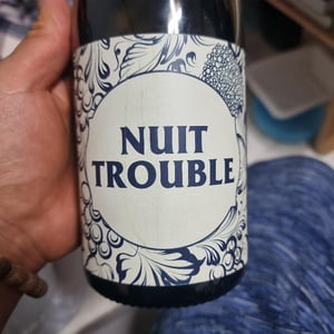 NUIT TROUBLE - No Control - vincent-marie -2020