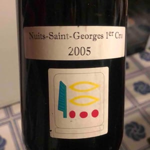 Nuits 1er Cru - Domaine Prieuré Roch - Henry-Frédéric Roch & Yannick Champ 
