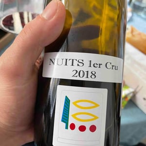 Nuits 1er Cru - Domaine Prieuré Roch - Henry-Frédéric Roch & Yannick Champ 
