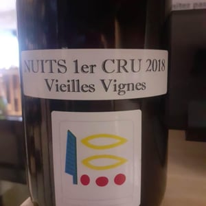 Nuits 1er Cru - Domaine Prieuré Roch - henry-frederic-roch-yannick-champ