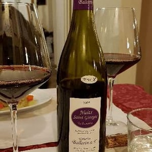 Nuits-Saint-Georges 2009