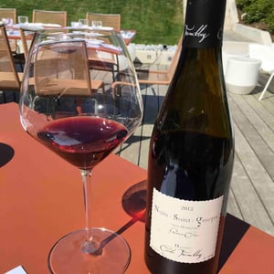 Nuits Saint Georges 1er Cru Les Murgers - Domaine Cécile Tremblay - cecile-tremblay