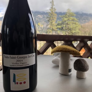 Nuits 1er Cru Vieilles Vignes - Domaine Prieuré Roch - henry-frederic-roch-yannick-champ