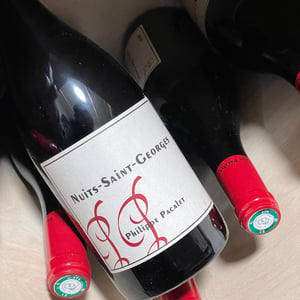 Nuits-Saint-Georges - Rouge - Philippe Pacalet - monica-et-philippe-pacalet