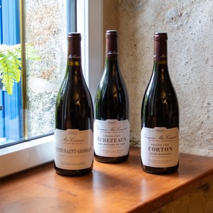 Nuits-Saint-Georges - Domaine Ballorin - gilles-ballorin