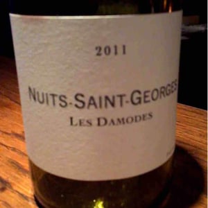 Nuits-Saint-Georges "Les Damodes" - Domaine de Chassorney - frederic-cossard