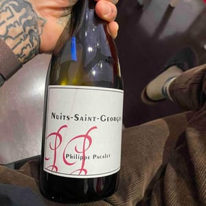 Nuits-Saint-Georges - Rouge 2017