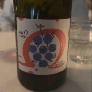 Null Ohm Rot - Weingut Kissinger - moritz-kissinger