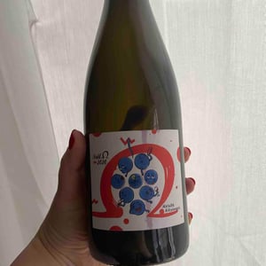 Null Ohm Rot - Weingut Kissinger - moritz-kissinger
