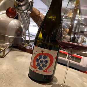 Null Ohm Rot - Weingut Kissinger - Moritz Kissinger 