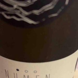 Numen Fumé Blanc - Bioweingut Johannes Zillinger - johannes-zillinger -2018