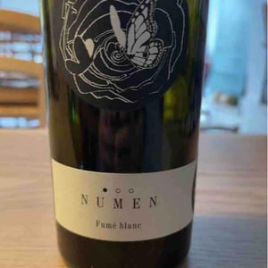 Numen Fumé Blanc 2020 - Bioweingut Johannes Zillinger - Johannes Zillinger -2018