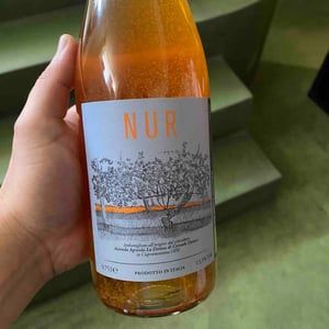 Nur - La Distesa - corrado-dottori