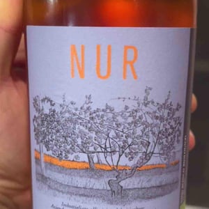 Nur - La Distesa - corrado-dottori